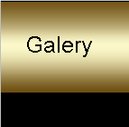 Galery Sinyo Management