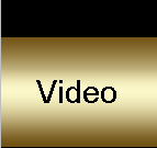 Contact Sinyo Management